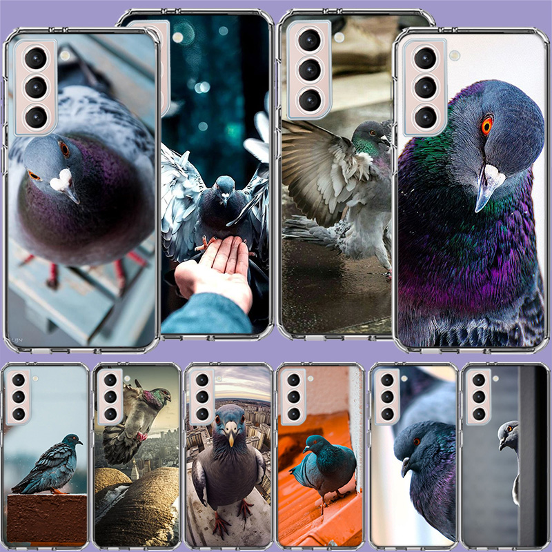 Phone Cases Com - Peace Pearl Nautilus Clear Phone Cases